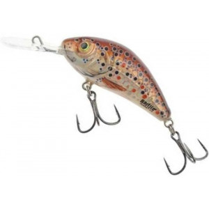 Vobler Salmo Rattlin Hornet H4.5F, culoare BHT, 4.5cm, 6g