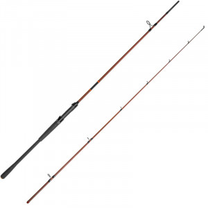 Lanseta Delphin Exploza Hard, 2.40m, 65g, 2 tronsoane