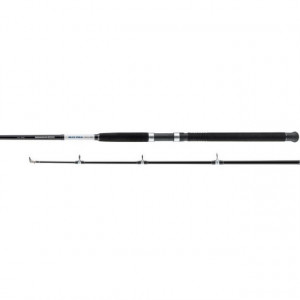 Lanseta somn Seacor Blue Power Pilk 2.40m/ 100-250g / 2 tronsoane Cormoran - Img 2