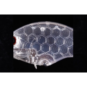 Vobler OSP Blitz Max DR, Blueback Herring, 6.1cm, 16g - Img 3