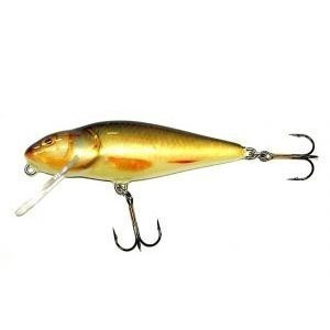 Vobler Salmo Perch PH8F RR plutitor 8 cm/12 gr