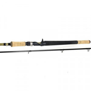 Lanseta Formax Walker Cast, 2.58m, 30-80g, 2 tronsoane