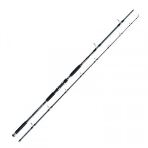 Lanseta Jaxon Eclatis Catfish, 2.85m, 500g, 2 tronsoane