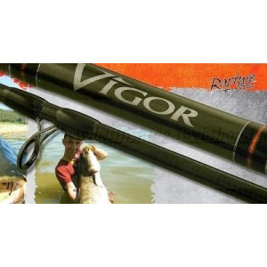 Lanseta Vigor 2.40m/ 100g/ 2tronsoane Rapture - Img 4