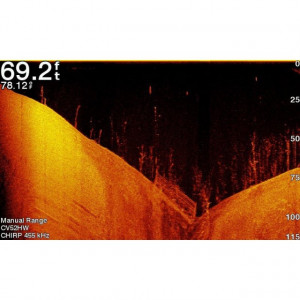 Sonar Ecomap Plus 62CV WW GT20 XDCR Garmin - Img 4