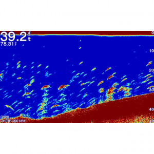 Sonar Garmin Ecomap Plus 72SV WW GT52 fara XDCR - Img 5