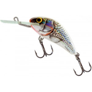 Vobler Salmo Hornet Floating H4F, culoare SWS, 4cm, 3g