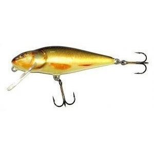 Vobler Salmo Perch PH8DR RR plutitor 8 cm/14 gr