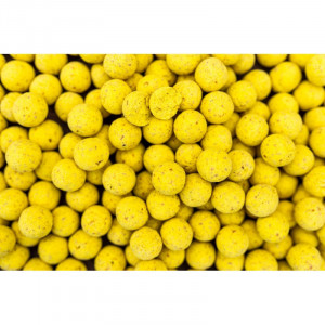 Boilies Pro Line Scopex N'Butyric, 5kg