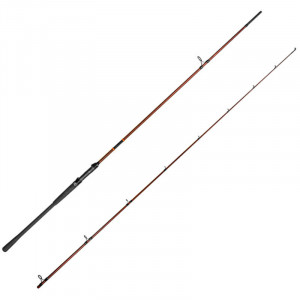 Lanseta Delphin Exploza Hard, 3.00m, 70g, 2 tronsoane
