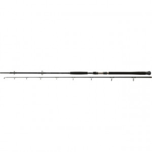 Lanseta Exceler Catfish Spin 2,40M/-185G / 2 tronsoane Daiwa