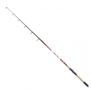 Lanseta telescopica 3m / 30-80g Carp Expert