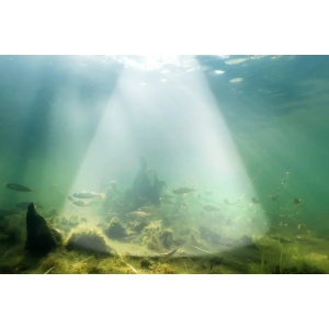Sonar Smart Deeper Chirp+ 4.0 cu AI integrat - Img 6