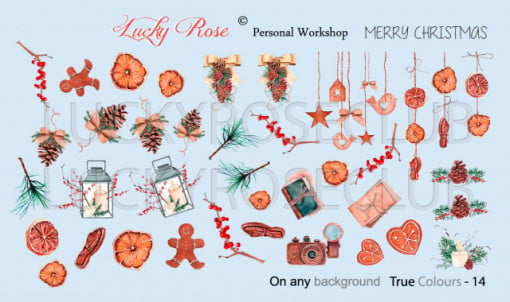 Tatuaj Lucky Rose True Colour 14