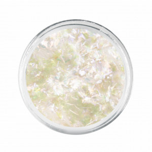 Fulgi de nail art Twinkle Effect 05