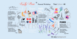 Tatuaj Lucky Rose True Colour 48