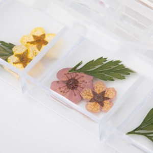 Set flori uscate Mix Spring