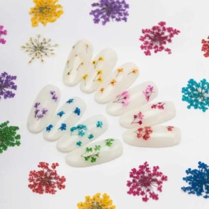 Set flori uscate Nail Art Green