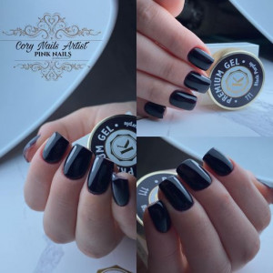 Gel color premium UV/LED Kayara 111 Black Purple