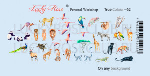 Tatuaj Lucky Rose True Colour 62