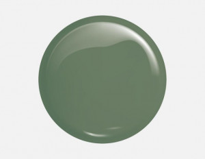 Oja Semipermanenta Gel Polish 209 Dusty Green