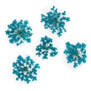 Set flori uscate Nail Art Turquoise