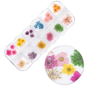 Set flori uscate Mix Bouquet