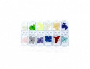 Set flori uscate Pastel
