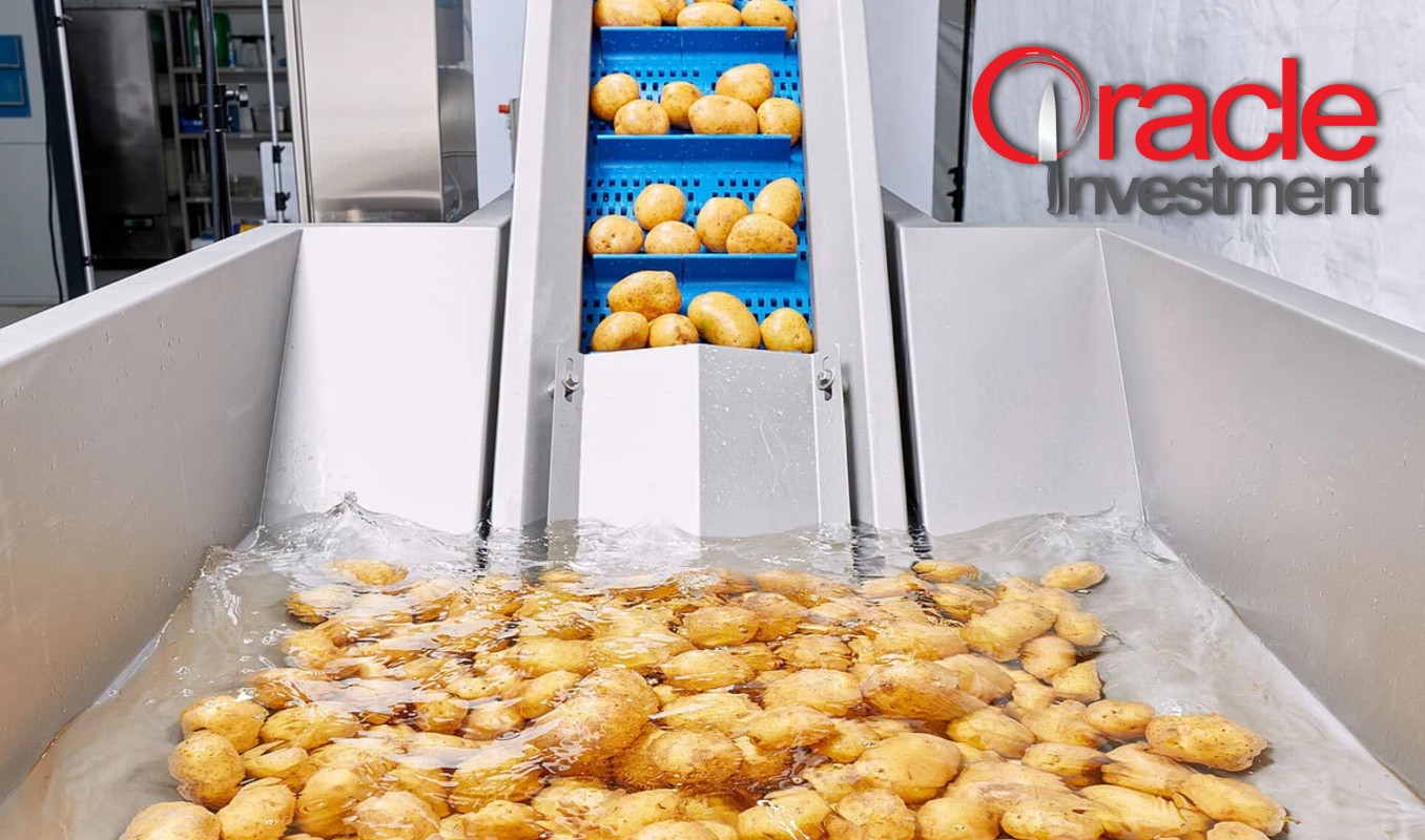 Idee de Afacere Profitabilă: Linie de Prelucrare Cartofi pai KRONEN – Producție până la 600 kg/h