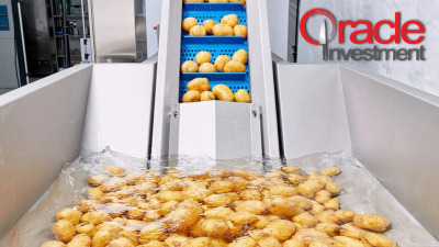 Idee de Afacere Profitabilă: Linie de Prelucrare Cartofi pai KRONEN – Producție până la 600 kg/h