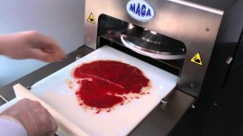 PROCESARE CARNE