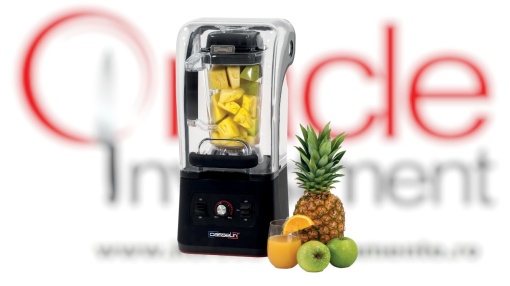 Blender profesional silențios, cu protecție fonică, 2.5 litri, bar Casselin