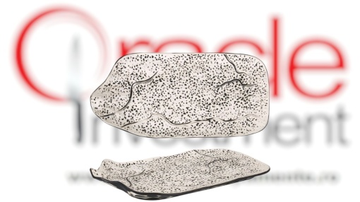 Platou deosebit 27x13x4 cm, set de 12 bucăți, Teide