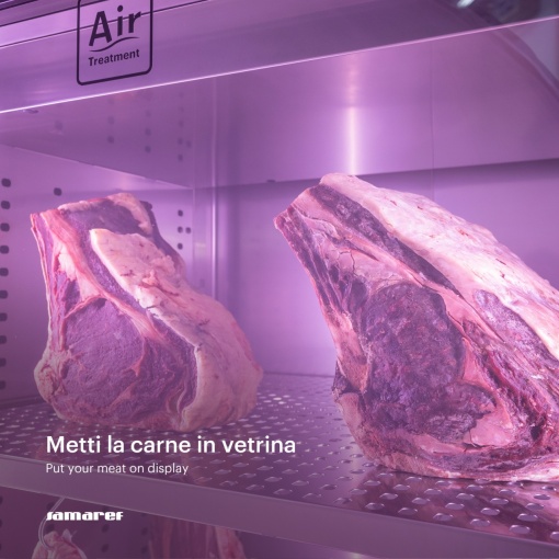 Dulap frigorific pentru maturarea, frăgezirea cărnii Deluxe Meat, 200 kg, cu ușă de sticlă - Img 7