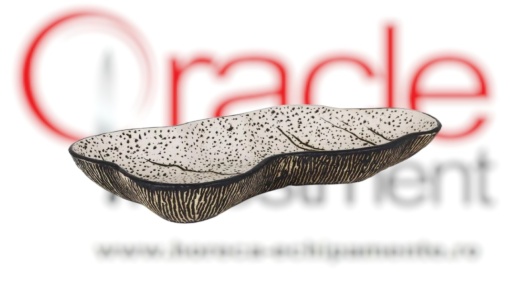 Platou de servire stridii 45x20x6 cm, set de 2 bucăți, Teide