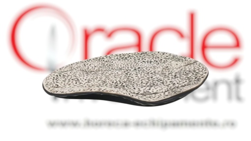 Platou deosebit 31x22x4 cm, set de 12 bucăți, Teide