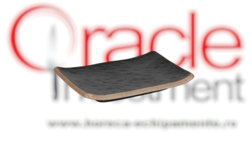 Platou negru sushi 17x12x2,5 cm, set de 4 bucăți, Sucro PuraSangre