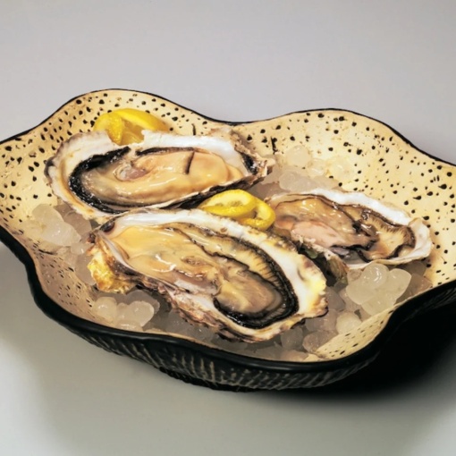 Platou de servire stridii 45x20x6 cm, set de 2 bucăți, Teide - Img 3