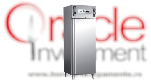 Dulap de congelare inox 507 Litri, -18°C/-20°C, Forcar
