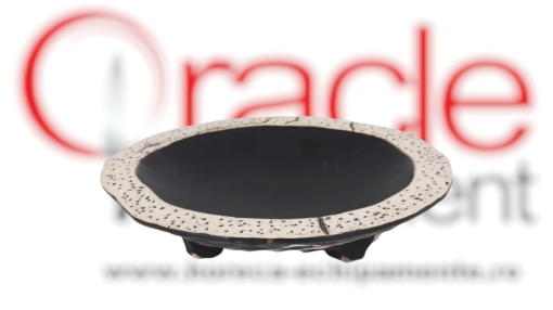 Farfurie deosebită 21x5 cm, set de 12 bucăți, Teide