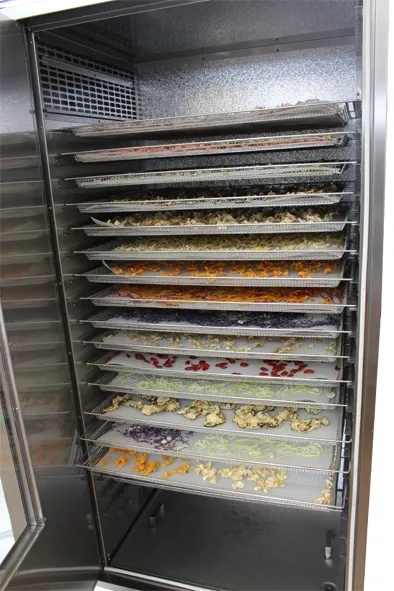 Uscător deshidrator de fructe, Frutty Mod.30 Inderst - Img 2