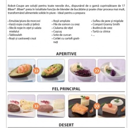 BLIXER PROFESIONAL B20 - Img 2