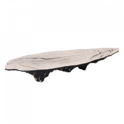 Platou podium pentru stridii 51x18x5.5 cm, set de 3 bucăți, Teide - Img 4