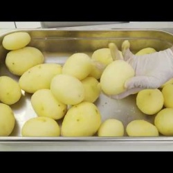 Mașină de curățat cartofi Felsinea PPR 20, 340 kg/oră - Img 6