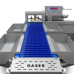 Mașină pentru frigărui, GASER SK-8000 - Img 3