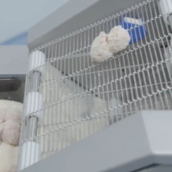 Mașină automată de făcut chiftele, nuggets, crochete GASER GM-7000 - Img 6