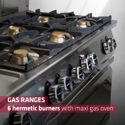 Mașină de gătit pe gaz cu 4 focuri și cuptor electric 800x705x900 mm, Desco - Img 5