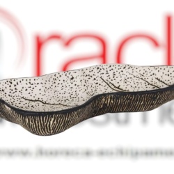 Platou de servire stridii 45x20x6 cm, set de 2 bucăți, Teide