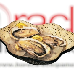 Platou de servire stridii 22,5x18x5 cm, set de 4 bucăți, Teide