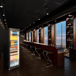 Vitrină frigorifică verticală, răcire dinamică, 422 litri, Neagră Premium, Liebherr - Img 3